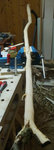 IMG_20180104_084018.jpg (104.47 KiB) 12605 mal betrachtet Entrindet und den Rücken mehrfach mit Schellack bestrichen.