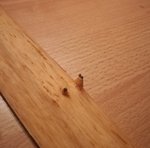 IMG_20180124_103948.jpg (192.73 KiB) 11215 mal betrachtet Leider noch ein altes Foto der Wurfarm ist an dieser Stelle schon dünner