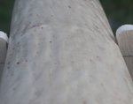 Rücken Detailansicht