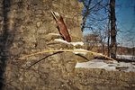 DSC03877.JPG