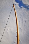 DSC03903.JPG
