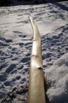 Untere Wurfarm ist leicht snaky