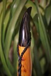 DSC03936.JPG