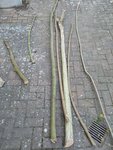 IMG_20180326_184554398.jpg