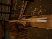 DSCN0485.JPG (1.83 MiB) 9666 mal betrachtet Schnur mal über den Rücken gelegt, macht sich<br />wegen des Reflexes blöd