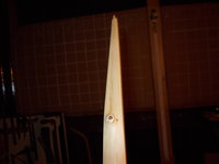 Holzauge sei wachsam