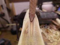 Stamm 1 Riss erweitert.jpg