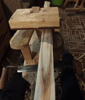 Roteiche Impressionen vom Bau