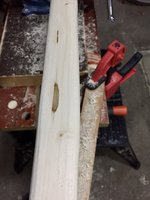 IMG_9650.jpg (229.6 KiB) 7929 mal betrachtet Hasel