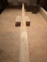 Bogenrücken oberer WA