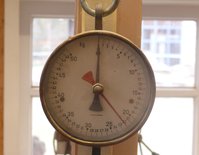 Der Bogen misst 157cm von Nock zu Nock und zieht 22kg @ 27".