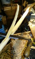 BILD3618.JPG