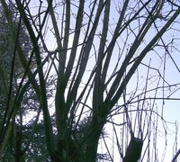 BILD3542.JPG