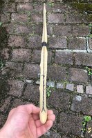 gespannt, Sehnenverlauf