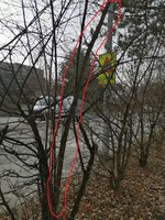 IMG_20210102_140002.jpg