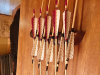 20200920_010153 (Mittel).jpg