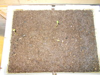 DSCN0755.JPG (408.41 KiB) 4738 mal betrachtet da ist Geduld gefragt