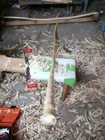 IMG_20210203_095355.jpg