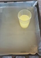 Leimlösung geliert (das Trinkglas dient nur zur Verdeutlichung, dass der Leim geliert ist). Die Leimlösung geliert relativ langsam und ist zunächst auch bei Zimmertemperatur noch flüssig. Ich habe den Vorgang im Kühlschrank beschleunigt.