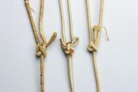 Sehnen06.jpg (61.63 KiB) 3369 mal betrachtet Quelle: Peter Dekker