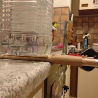 Lederscheide in Arbeit .jpg