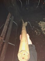 geschält, leicht reflex