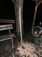 auf +/- 5 cm Breite reduziert. Die Späne des gestrigen Tages und der Spanerzeuger