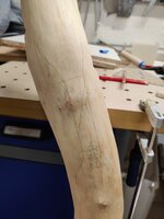 IMG_20220402_195717_compress59.jpg (168.3 KiB) 3088 mal betrachtet IMG_20220402_195717_compress59.jpg