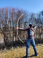 IMG_20220214_094741_compress37_compress34.jpg