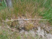 20220611_124730.jpg (1.54 MiB) 2763 mal betrachtet Abgespannt