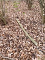 20230101_110447 - Kopie-min.jpg