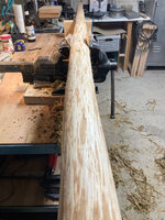 Hasel_Dreh.jpg (504.19 KiB) 8306 mal betrachtet Hasel mit Drehwuchs