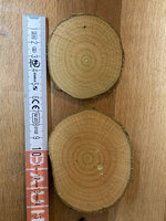 Hasel_Durchmesser.jpg (959.39 KiB) 7944 mal betrachtet Hasel Anschnitt