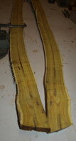 2023_01140006.JPG