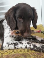 Na endlich. Ich wäre fast verhungert!!