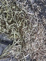 Rindenmulch für die Beete