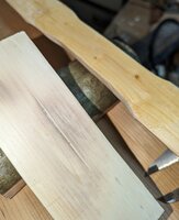 Griffaufbau aus Hasel geschnitten