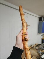 Das abgetrennte Ende