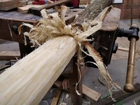 10 Tage nach dem Fällen wird mit Ziehmesser und Ziehklinge die Rinde abgezogen. Erstaunlich, wieviel Wasser da noch drin steckt. Die Robinie bleibt nach wie vor in der unbeheizten Garage.