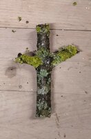 Kornelkirsche Astgabel.jpg (396.6 KiB) 11093 mal betrachtet Kornelkirsche Astgabel