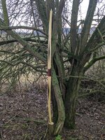 ursprünglicher Standort (Shout-Out an HoyoM für die gute Idee)