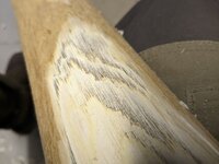 1000017922.jpg (658.25 KiB) 2872 mal betrachtet Gammelstellen mit hell verfärbtem Bast und schwarzem Gammel