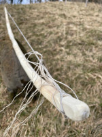 PHOTO-2025-02-16-13-48-49 2.jpg