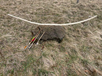 PHOTO-2025-02-16-13-48-49 5.jpg