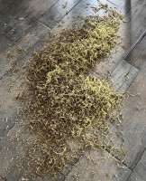 Unbedingt immer im Wohnzimmer entrinden wenn die Frau nicht da ist