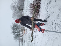 einspannen und Bogenrücken suchen