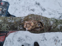 die Stelle wird interessant zu integrieren.