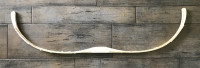 IMG_5501.jpeg