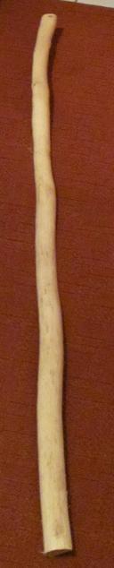 Hainbuche07 keine 180 Grad mehr.jpg