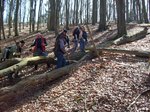 Bogenschießen 005.jpg